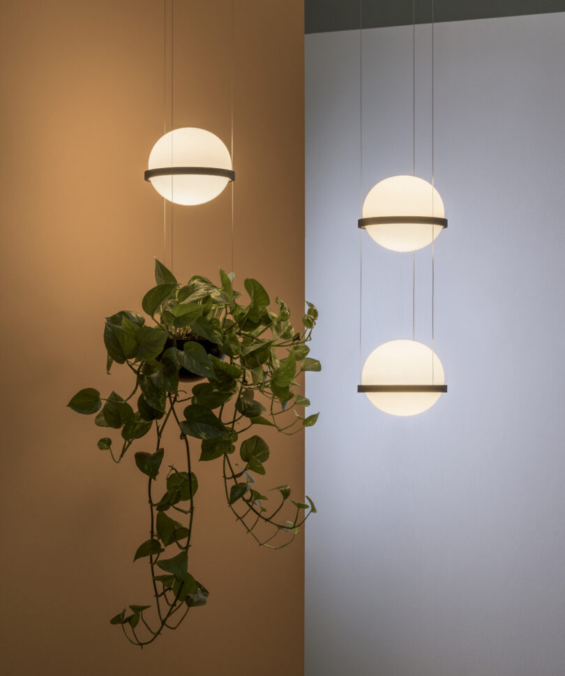vibia-palma-hanging-2